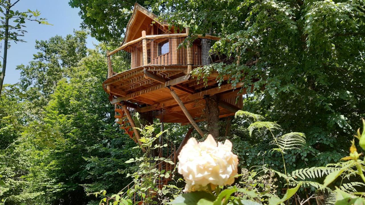 Caban'aspe Lodge